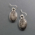 Fossil Coral Dangle Earrings, Sterling Silver, Cream Brown Oval Cabochon, Natural Gemstone, Handmade Jewelry