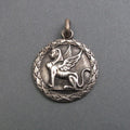 Greek Mythology, Sphinx Button Pendant, Sterling Silver, Dark Academia, Feminist Necklace, Victorian Symbolism Jewelry