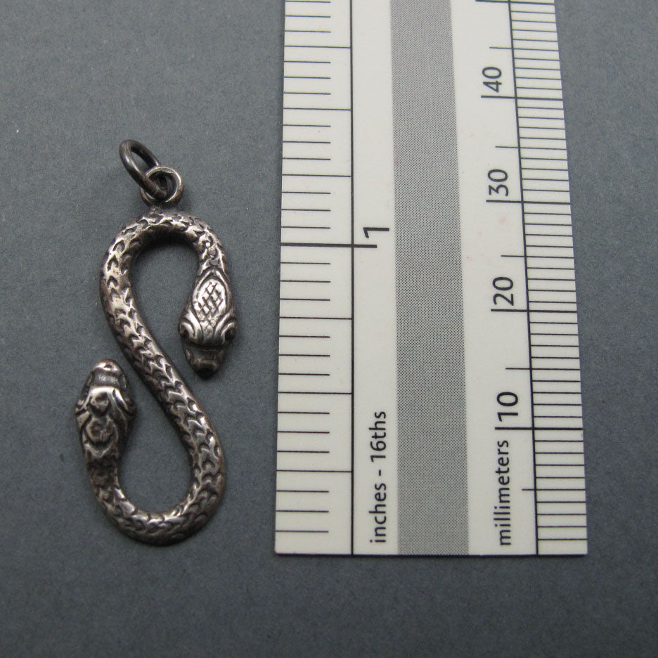 Double Headed Snake Pendant, Sterling Silver, Infinity Necklace, Amphisbaena, Transformation Talisman